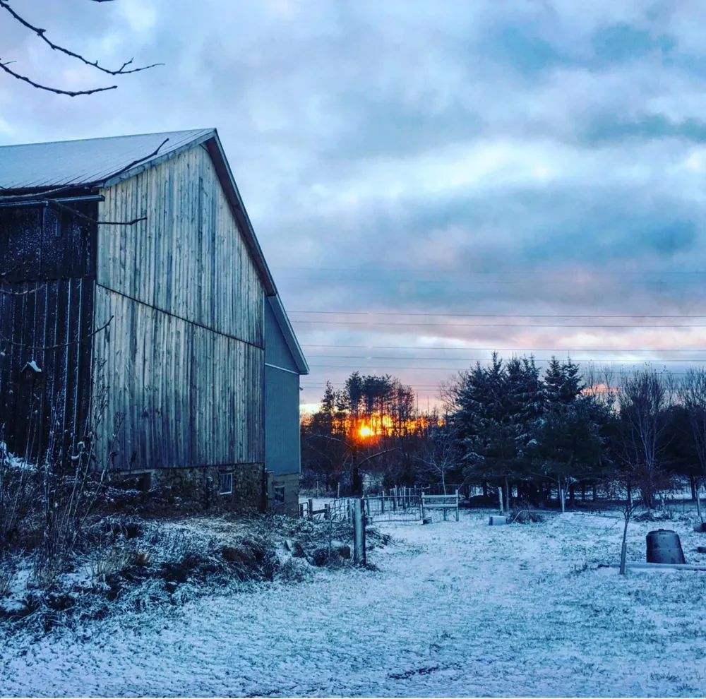 The sanctuary barn at sunset in winter